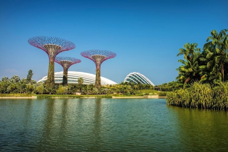 gardens-by-the-bay-6397134_1280