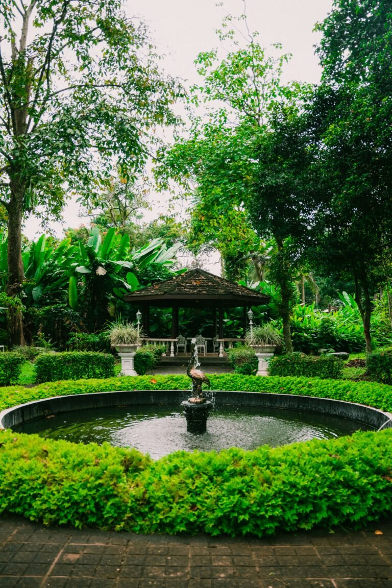 itadaki-qv4EzVR9JCk-unsplash